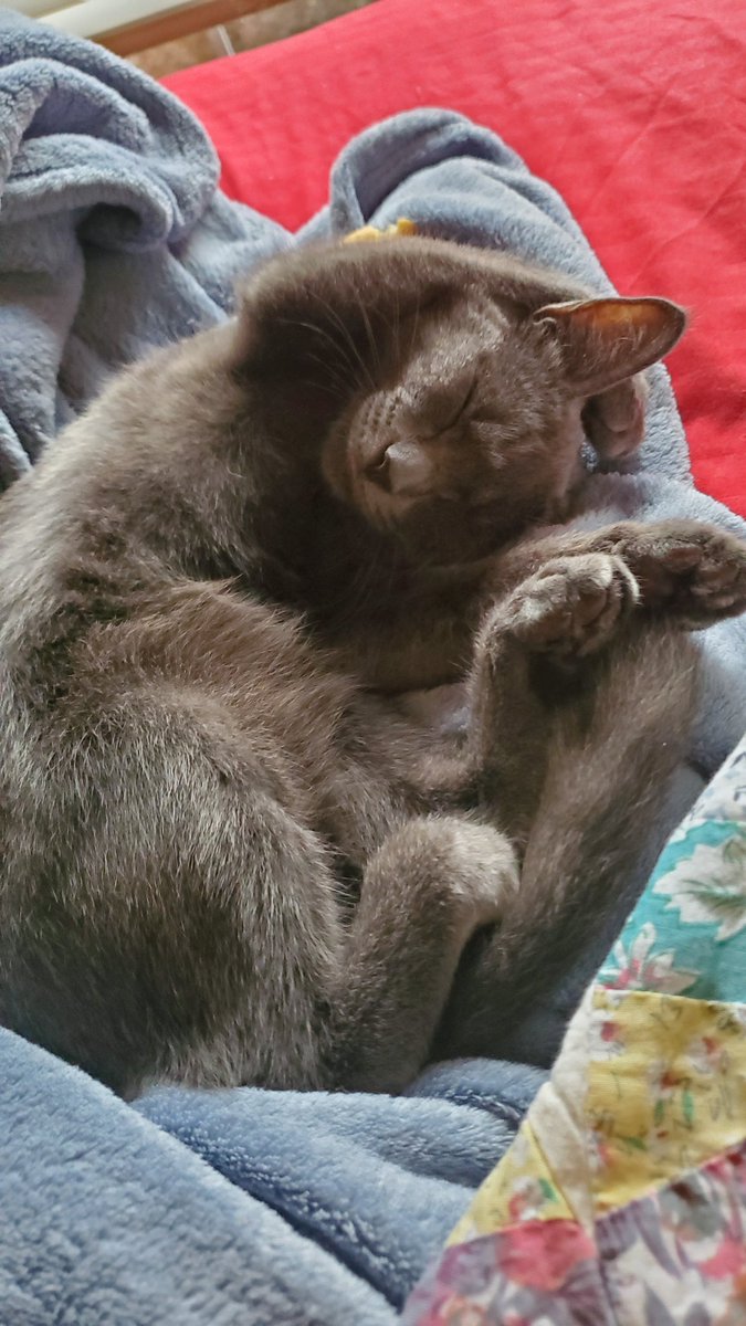 i have been told that i am gett ing 'spaid" to morrow...... what ever that means!!!!!!!!!!!!!!