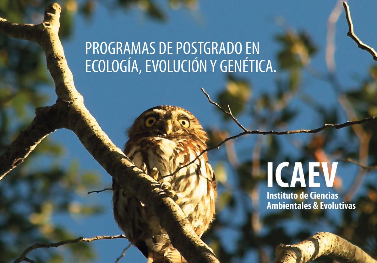 opazolab's tweet image. Postgrados del Instituto de Ciencias Ambientales y Evolutivas de la @UAustraldeChile tienen abiertas sus postulaciones hasta el 20 de Noviembre de 2019. RT

Magister en Cs. mención Genética
Magister en Cs. mención Ecología Aplicada
Doctorado en Cs. mención Ecología &amp;amp; Evolución