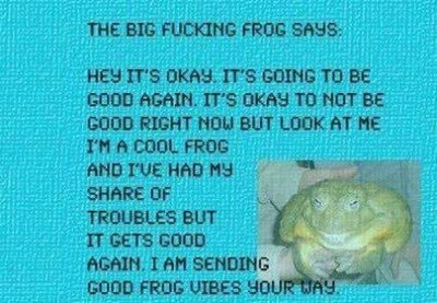 mobthoughts's tweet image. 