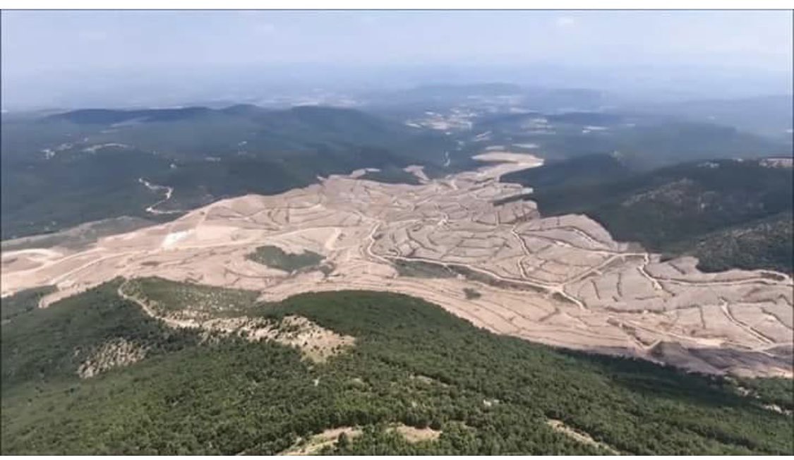 nillumm's tweet photo. We’r protesting against the Canadian Gold mining firm #AlamosGoldİnc , defending the nature in #idamountains ( #kazdağları )! The company has cut down 300.000 trees causing substantial environmental damage! @Canada https://t.co/r3dOv0FwzP