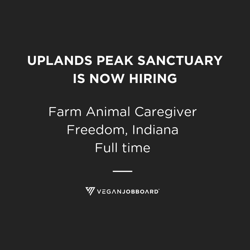 veganjobs's tweet photo. New job opening @UplandsPEAK - apply via https://t.co/aetml6WUla   #vegan #veganjobs https://t.co/5pP7PO9NS0