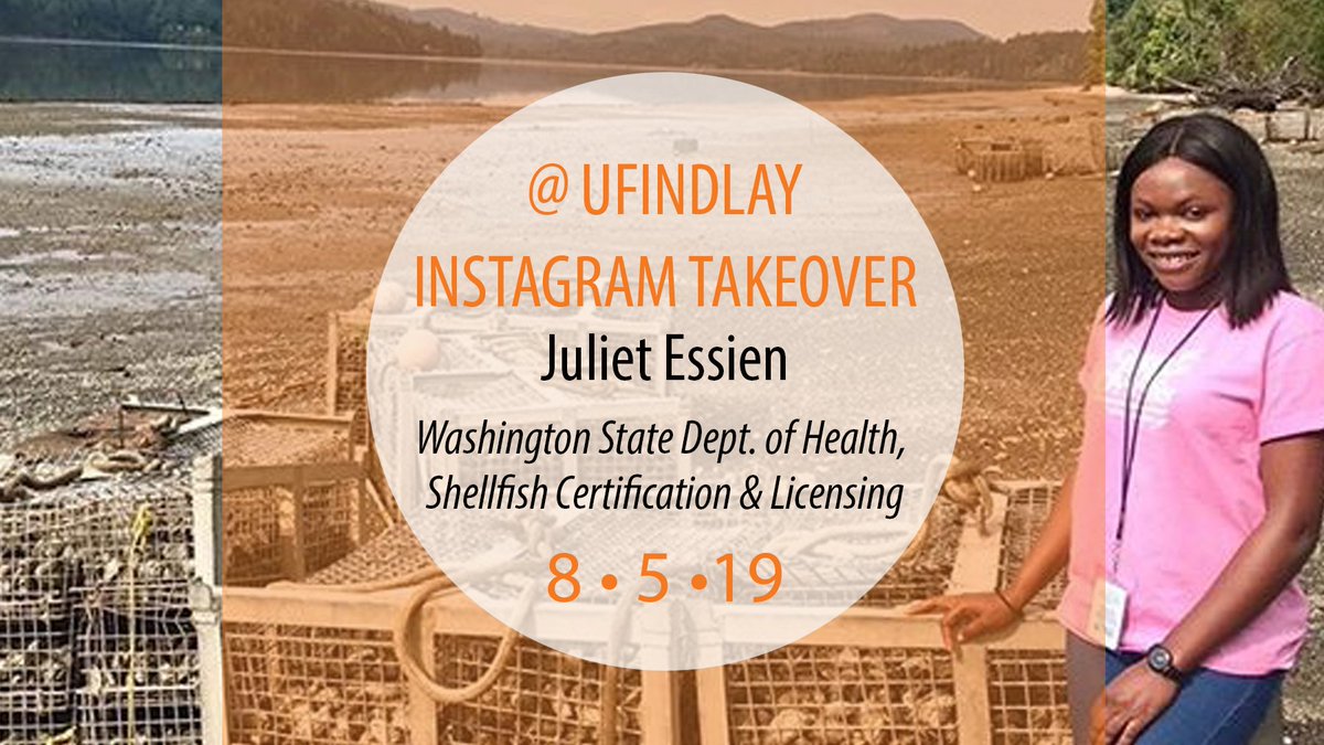 ufindlay's tweet photo. Juliet's summer internship includes beachcombing. ๐๐ฆ ๐งซ She's helping research bacteria levels that can make oysters unsafe for people to eat. Follow her on Tuesday! #UFindlayTakeover #SummerInternship https://t.co/KMDdyFPUfz