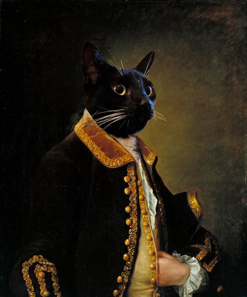AwGeorgeCat's tweet photo. Today am being all regal and stuff 😺
#cats #CatsOfTwitter #regalcat #tuxiegang #tuxiesrule https://t.co/PRwPBWzKkd