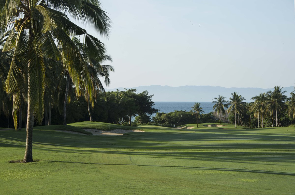 puntamitaMx's tweet photo. Play in paradise with views of the palm trees and the ocean in Punta Mita! 😉 🥂 🏌️ #VivaPuntaMita https://t.co/Qb3aPiAn0K