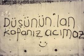 Uy qurilishi mushuk yalash video