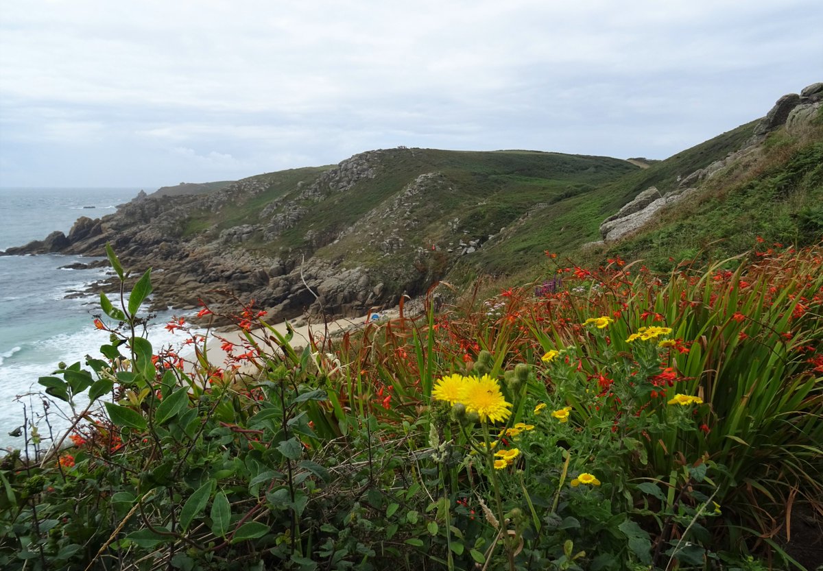 BevHunt72's tweet photo. An amazing #Walk32 of 50 for #OneMedicine @HumanimalTrust today - a colourful, rocky road from #LandsEnd to #Porthcurno #Cornwall 😀
@ThePhotoHour @beauty_cornwall @ILoveCornwallUK @CornwallHour @iwalkc @Cornwalloncam @TedPoldark
https://t.co/dxBulGmP08 https://t.co/lLGVz0SvuY
