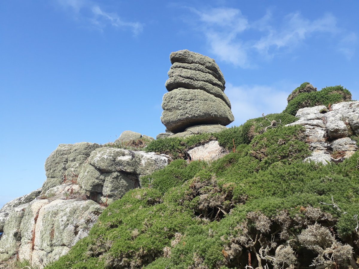 BevHunt72's tweet photo. An amazing #Walk32 of 50 for #OneMedicine @HumanimalTrust today - a colourful, rocky road from #LandsEnd to #Porthcurno #Cornwall 😀
@ThePhotoHour @beauty_cornwall @ILoveCornwallUK @CornwallHour @iwalkc @Cornwalloncam @TedPoldark
https://t.co/dxBulGmP08 https://t.co/lLGVz0SvuY