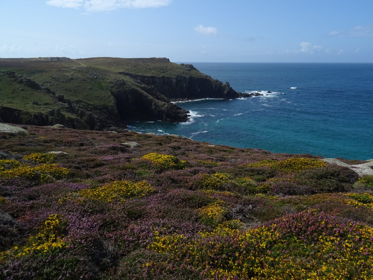 BevHunt72's tweet photo. An amazing #Walk32 of 50 for #OneMedicine @HumanimalTrust today - a colourful, rocky road from #LandsEnd to #Porthcurno #Cornwall 😀
@ThePhotoHour @beauty_cornwall @ILoveCornwallUK @CornwallHour @iwalkc @Cornwalloncam @TedPoldark
https://t.co/dxBulGmP08 https://t.co/lLGVz0SvuY