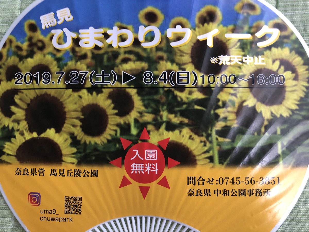 ひまわりウィーク