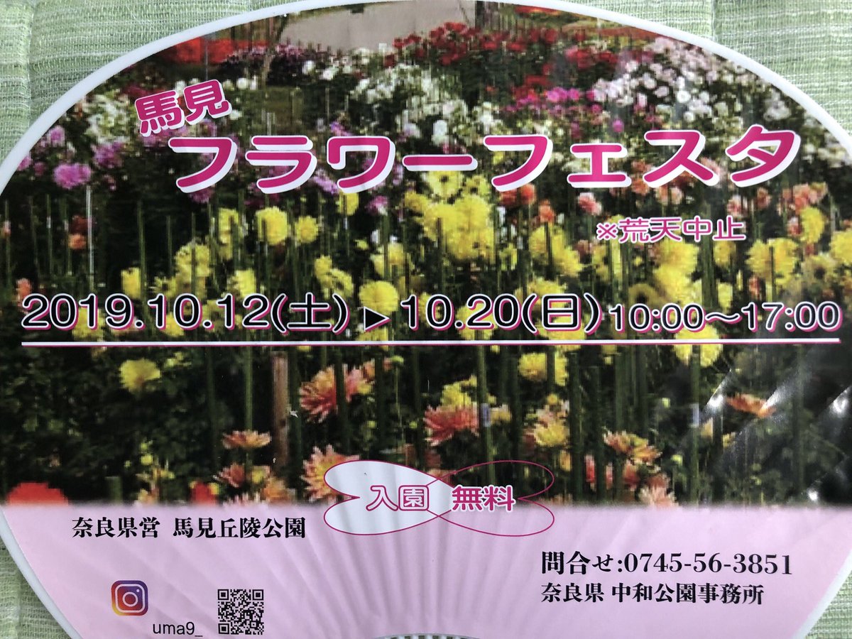 ひまわりウィーク