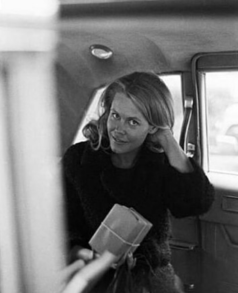 BewitchedSerial's tweet photo. "Television is such a mediocre medium"
ELIZABETH MONTGOMERY
(๐ธ: Art Zelin)
#BewitchedSerial
#ElizabethMontgomery https://t.co/kwl4Tiahke
