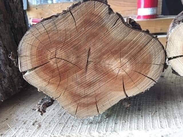 OfficialRezz's tweet photo. Why I be lookin like this piece of wood https://t.co/nNs5iPLEBu