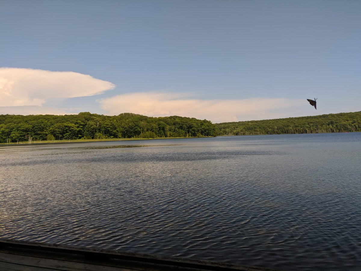 hrtlesgirl's tweet photo. Spent the weekend camping in @OntarioParks #Awenda. Such a beautiful park! Wish I had more time to spend there. #OPpartner https://t.co/mLimH2Wuy8