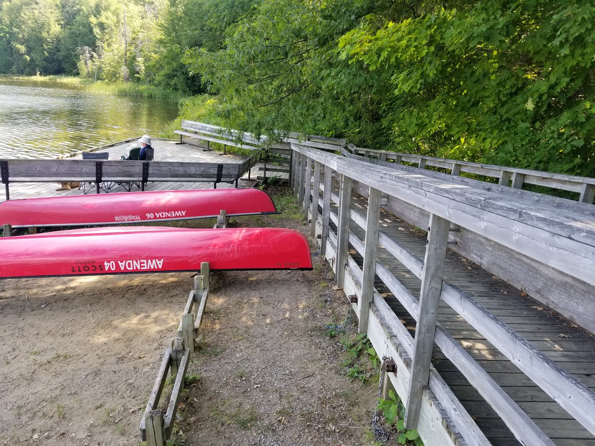hrtlesgirl's tweet photo. Spent the weekend camping in @OntarioParks #Awenda. Such a beautiful park! Wish I had more time to spend there. #OPpartner https://t.co/mLimH2Wuy8
