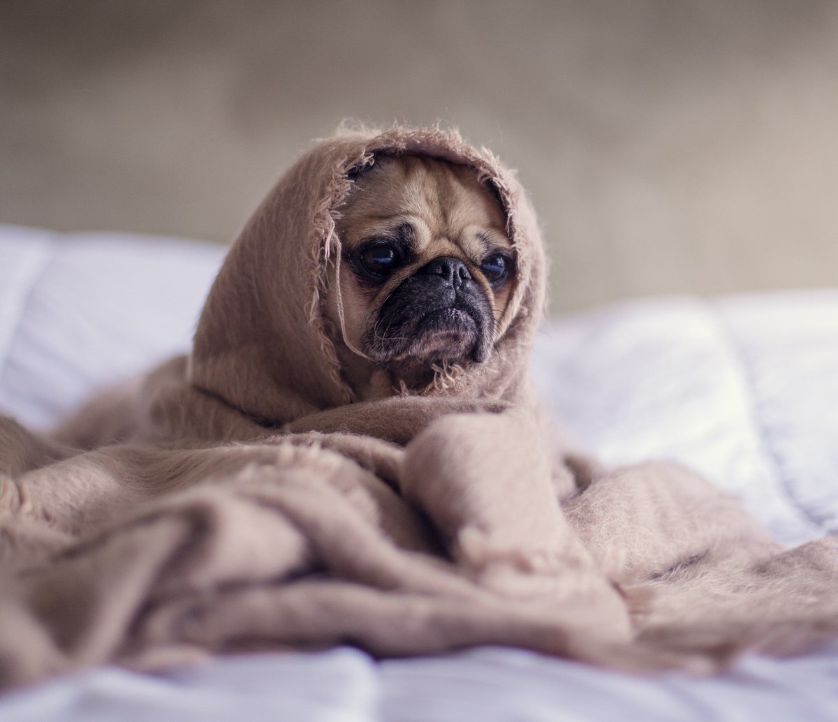 Long Street Hotel tweet media