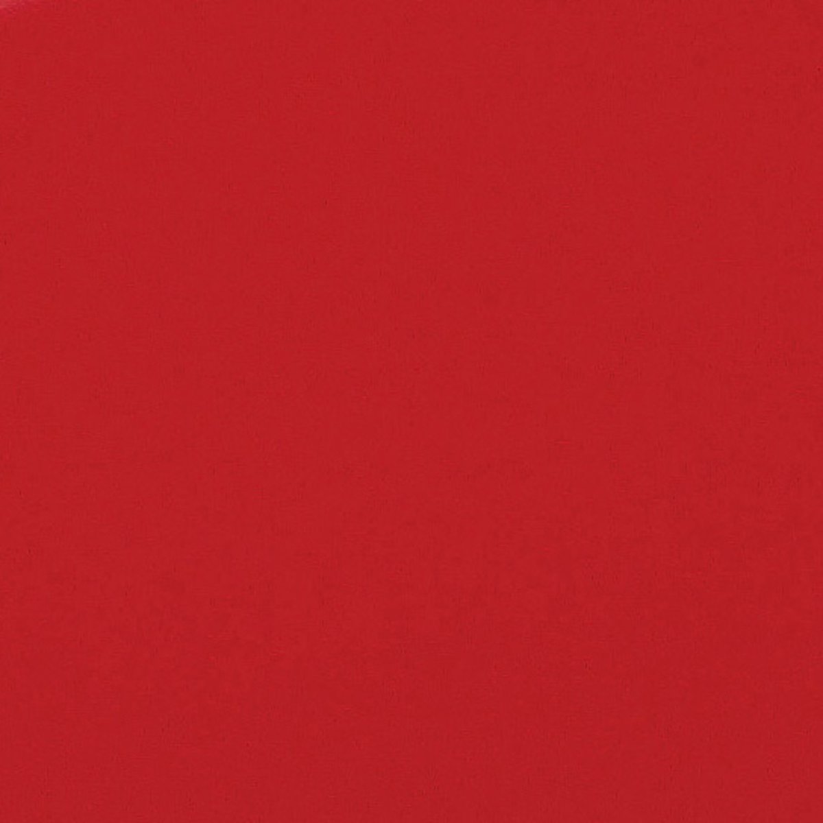 Israr1232's tweet photo. #StandwithKashmir #RedForKashmir https://t.co/TLNwK9IWJo