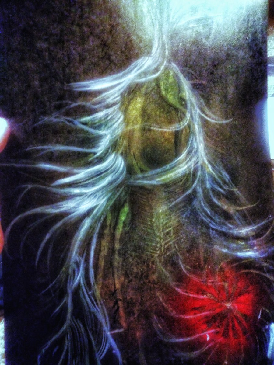 darrenevanspar1's tweet photo. Ghost Horse https://t.co/WuRIu7WptB