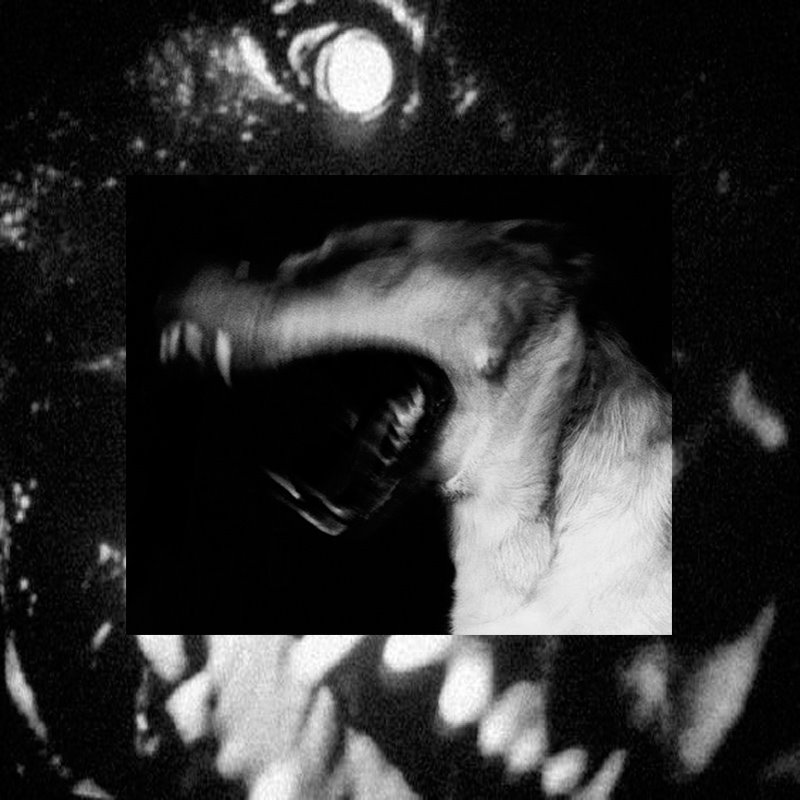 cvstaway01's tweet photo. i've been absent but here's a new song"diehard".
https://t.co/wrMOYLm0b7 https://t.co/4Kz92nxHRH
