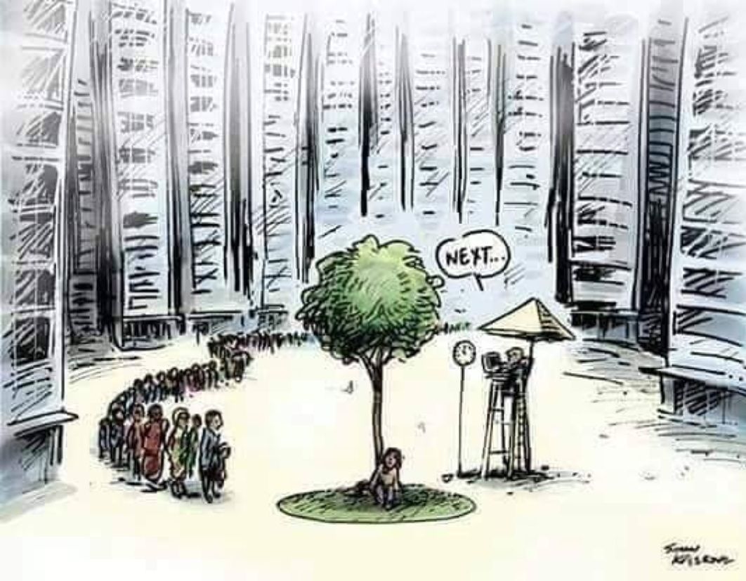 EcoInventos tweet media