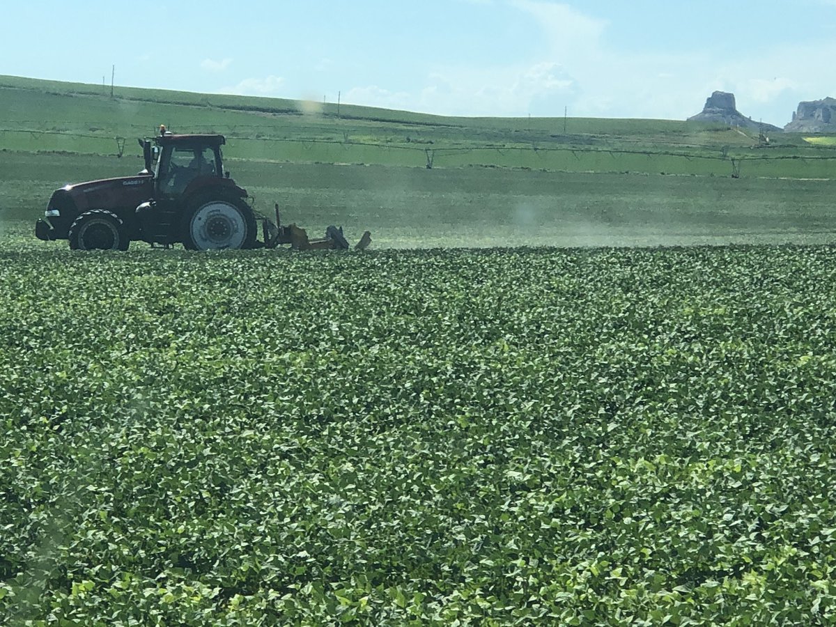 Meisner6's tweet photo. Ridging up the last field of the now dry land pintos a little rain sure won’t hurt 🌧🌧🌧🌧 https://t.co/hgpWptmPbw
