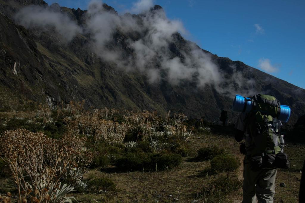 GE OIKOS tweet media