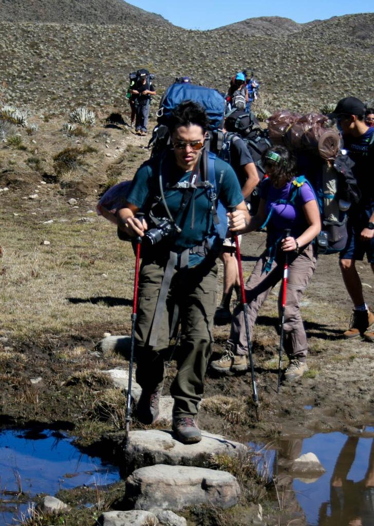 GE OIKOS tweet media