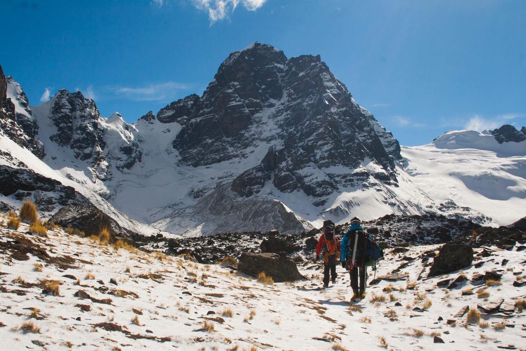 GE OIKOS tweet media