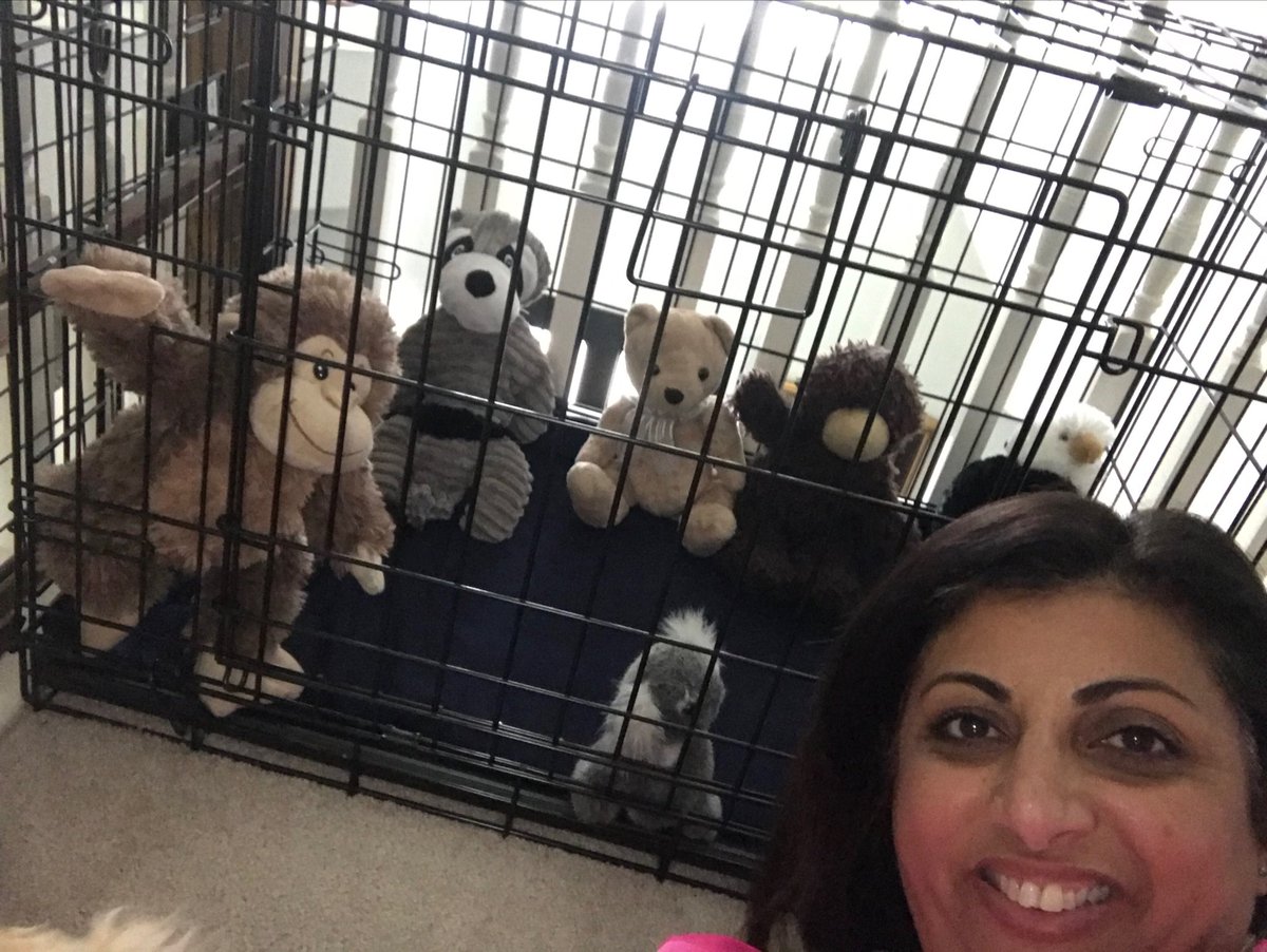 FionaSetna's tweet image. Zoo Selfie #wcesummer #wcerangers #summerselfiebingo