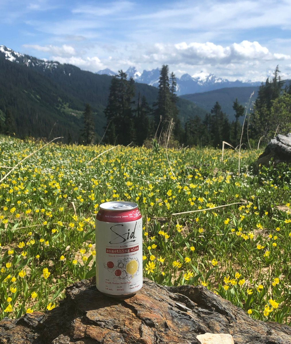 We've got Sid and views in plan for the weekend....what's your #SomethingElse you got in mind? #ExploreBC