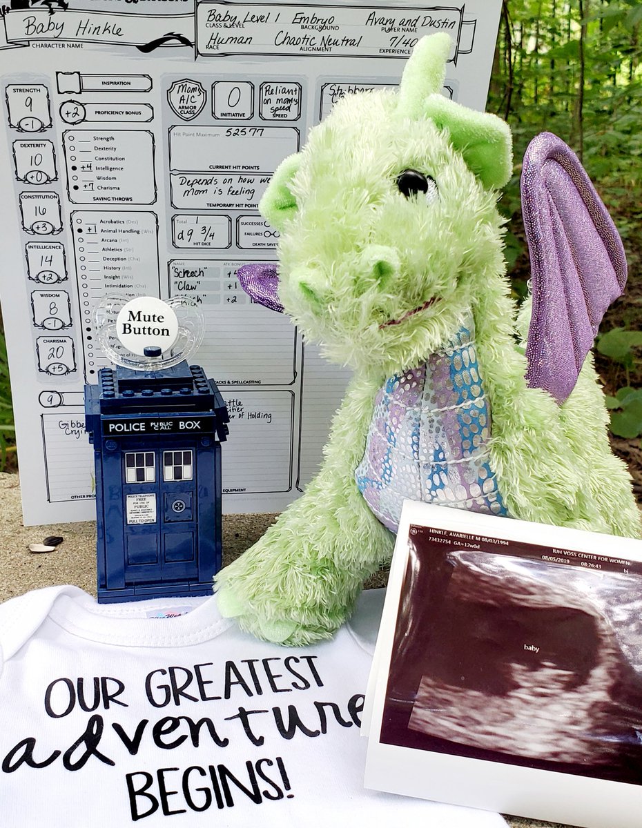 AvaryHinkle's tweet photo. We're adding a new companion to our adventuring party! March 2020! 🤰 https://t.co/yoEYguAxOV