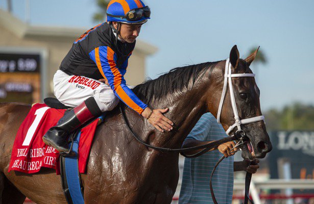 HR_Nation's tweet photo. A big weekend across the country for trainer Brad Cox included Beau Recall's score in the Yellow Ribbon at @DelMarRacing.

The turf standout could return for Del Mar's fall meet. ↪️ https://t.co/6xBnHnRKvm https://t.co/YpiafBqV8B