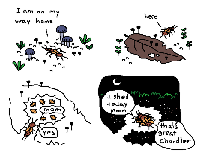 "earwig"
#comic
#mossworm 