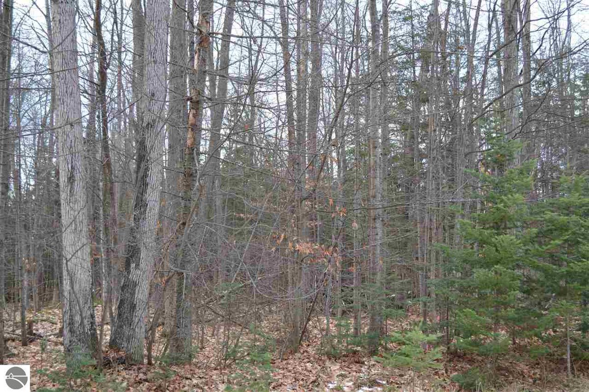 Jennifer_Blain's tweet photo. I am looking for a buyer on Lot 21 Ottawa Trail #Kewadin #MI  #realestate https://t.co/ZnUTCCxQ76 https://t.co/o4dj17tE71