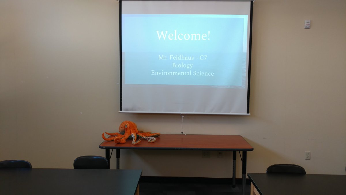 A great first day! Plus Harold the class octopus.