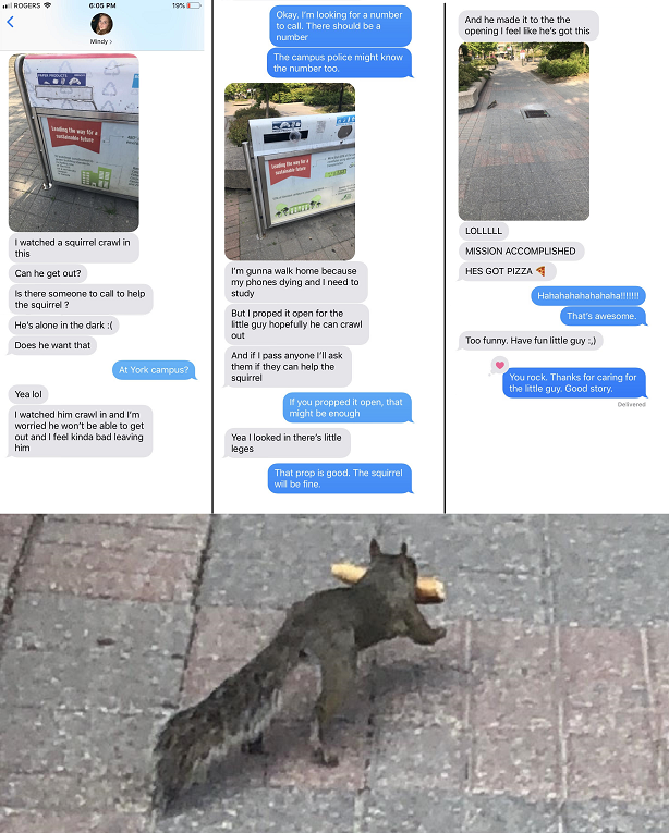 MJSwart's tweet photo. A story about a squirrel https://t.co/ttJOPQ1pHJ