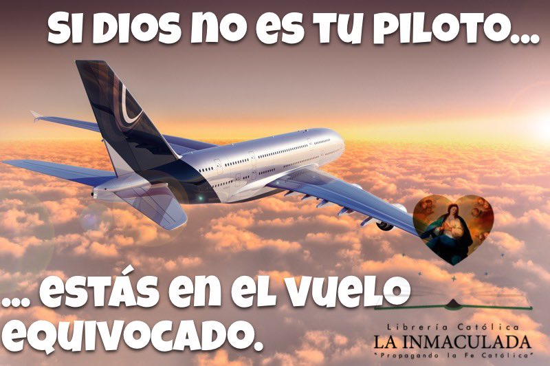 lainmaculada's tweet image. Si Dios no es tu piloto, estás en el vuelo equivocado. 
#Dios #piloto #EstilodeVida #libreria #catolica #lainmaculada lainmaculada.com