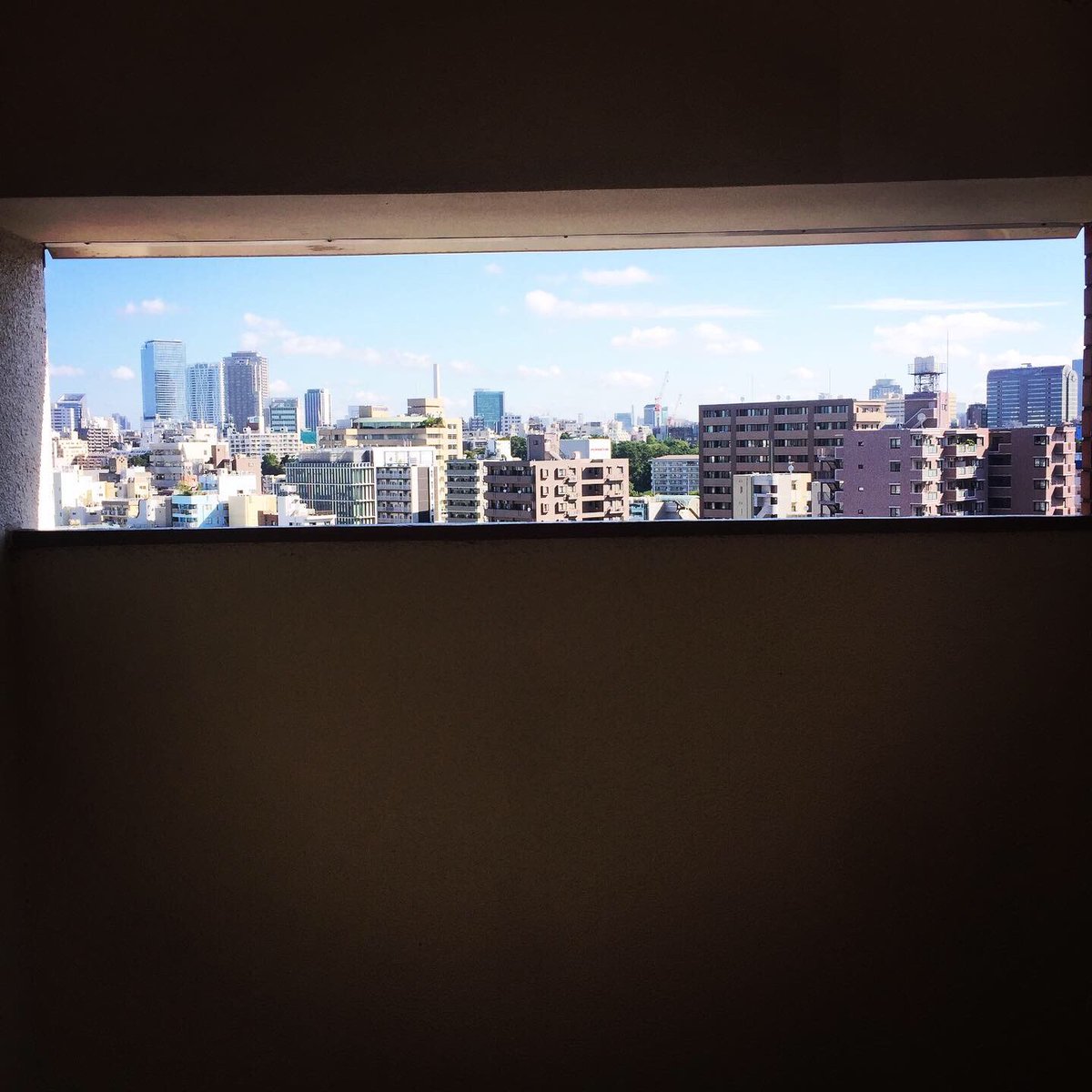 RuiHashimoto's tweet photo. おはようございます!朝ランへ!8時ともなると暑い!
#サウシュー #stingrun #run #running #adidas #朝ラン #ランニング #ラン #urbanrunning #adidasrunning #adidasultraboost #streetrunning #アディダス #tokyo #tokyorunning https://t.co/wIyAs5wHIC