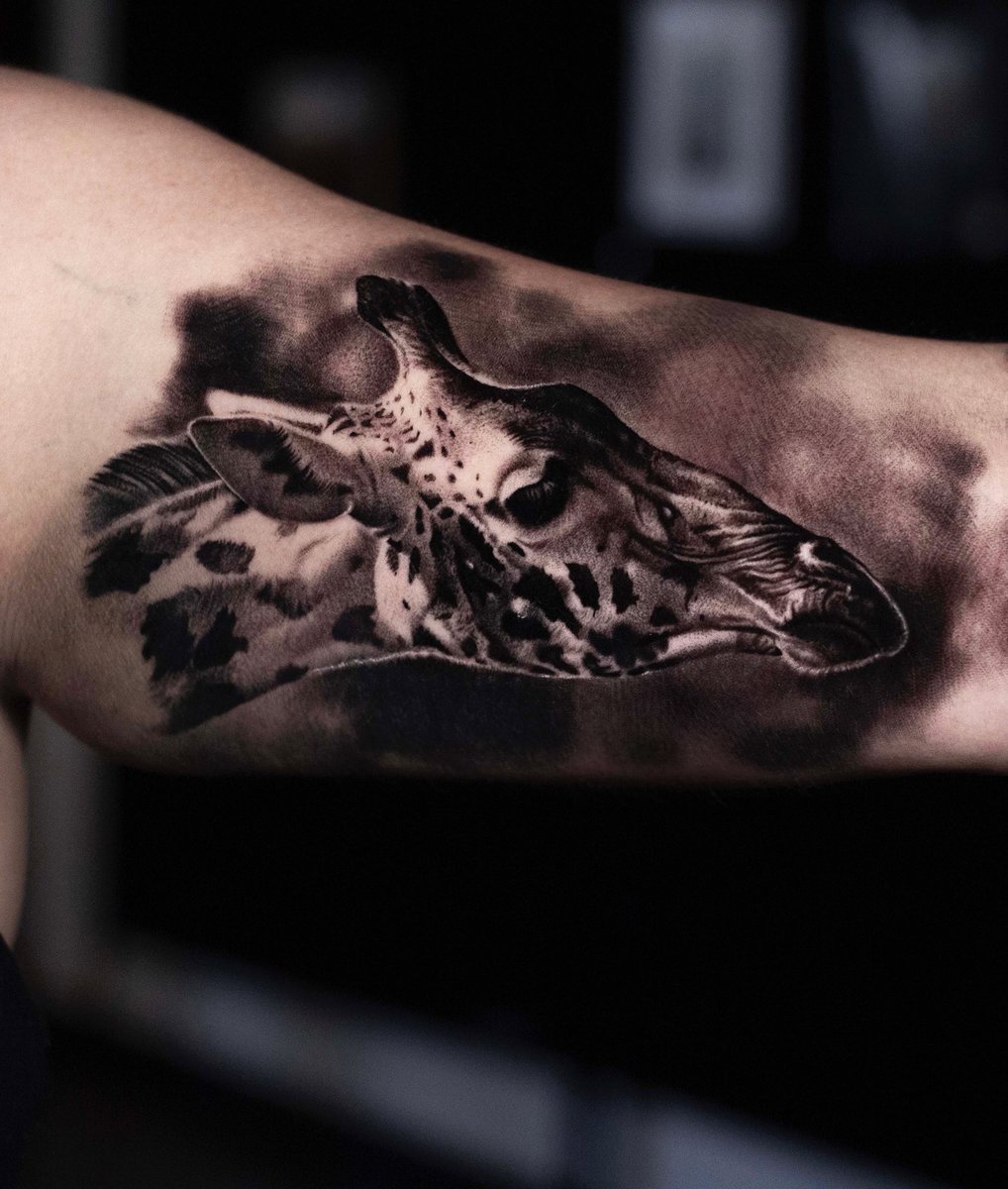 QuinHernandez's tweet photo. Giraffe for Jessica https://t.co/8ByYl2jZi7