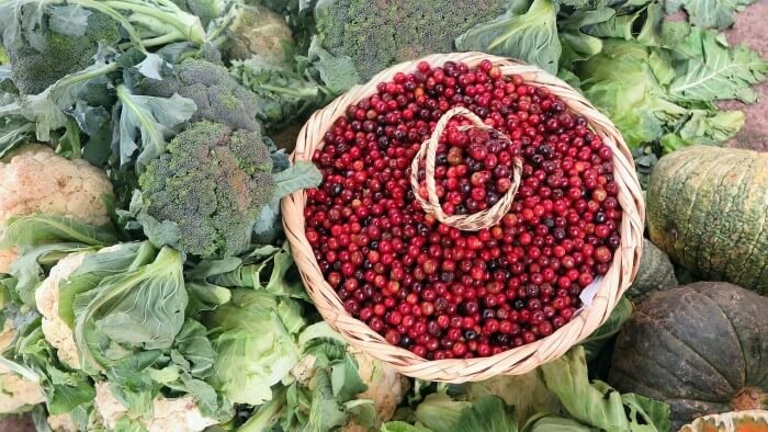 Can You Live Without a Fridge?

Living without a fridge may very well be the reality after a SHTF disaster. Providing food for you and your family under these circumstances is essential. thesurvivalistblog.net/living-without…