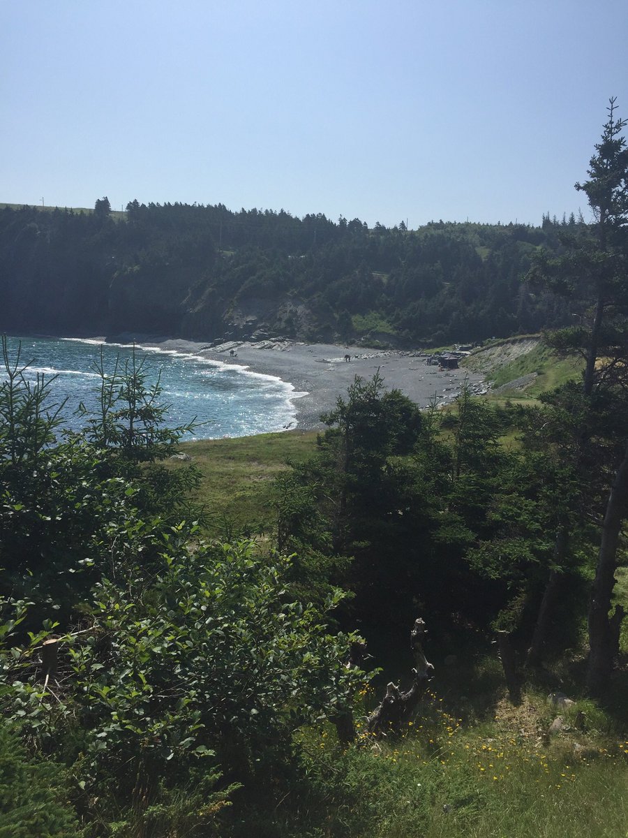 msimms28's tweet photo. Yesterday we hiked the @EastCoastTrail, today was spent @CineplexMovies and Rec Room and tomorrow it’s @sjhoponhopoff day! #staycation #exploringourcity #family #seacaves #LionKing2019 https://t.co/9KpyMlinFo