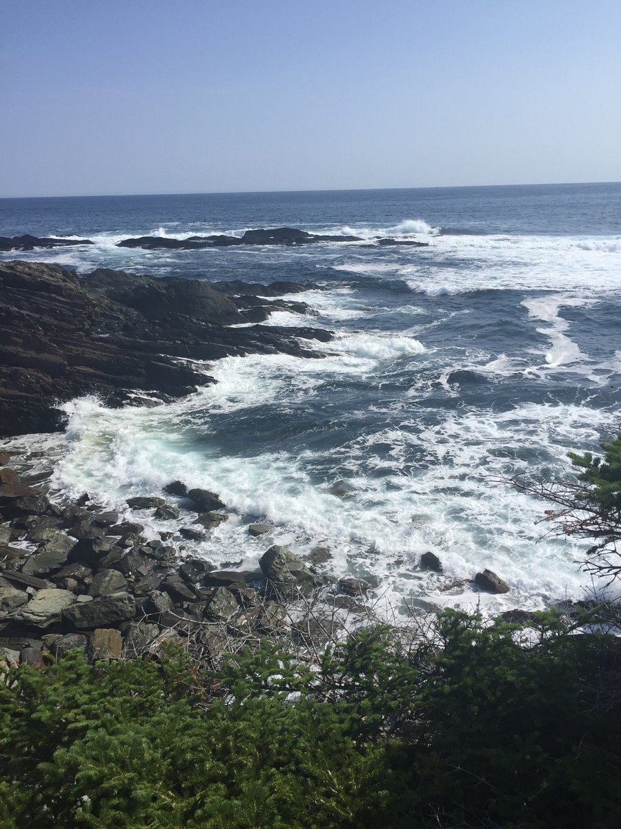 msimms28's tweet photo. Yesterday we hiked the @EastCoastTrail, today was spent @CineplexMovies and Rec Room and tomorrow it’s @sjhoponhopoff day! #staycation #exploringourcity #family #seacaves #LionKing2019 https://t.co/9KpyMlinFo