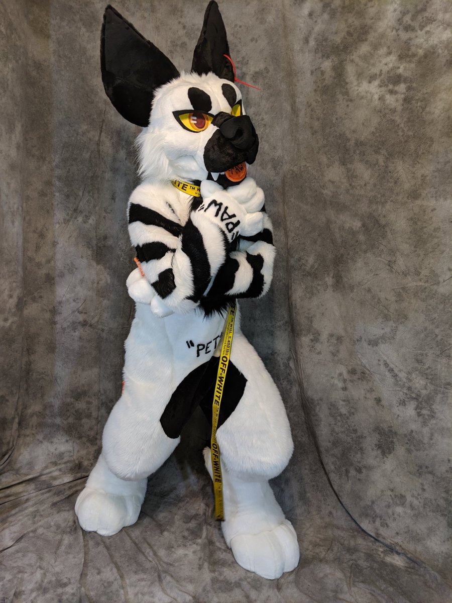This hatchling is freash off the runway! Everyone let @OffYeen know how good he is looking! Yes, that is a legit belt he's wearing on his neck 🤩🤩🤩💰💰💰
