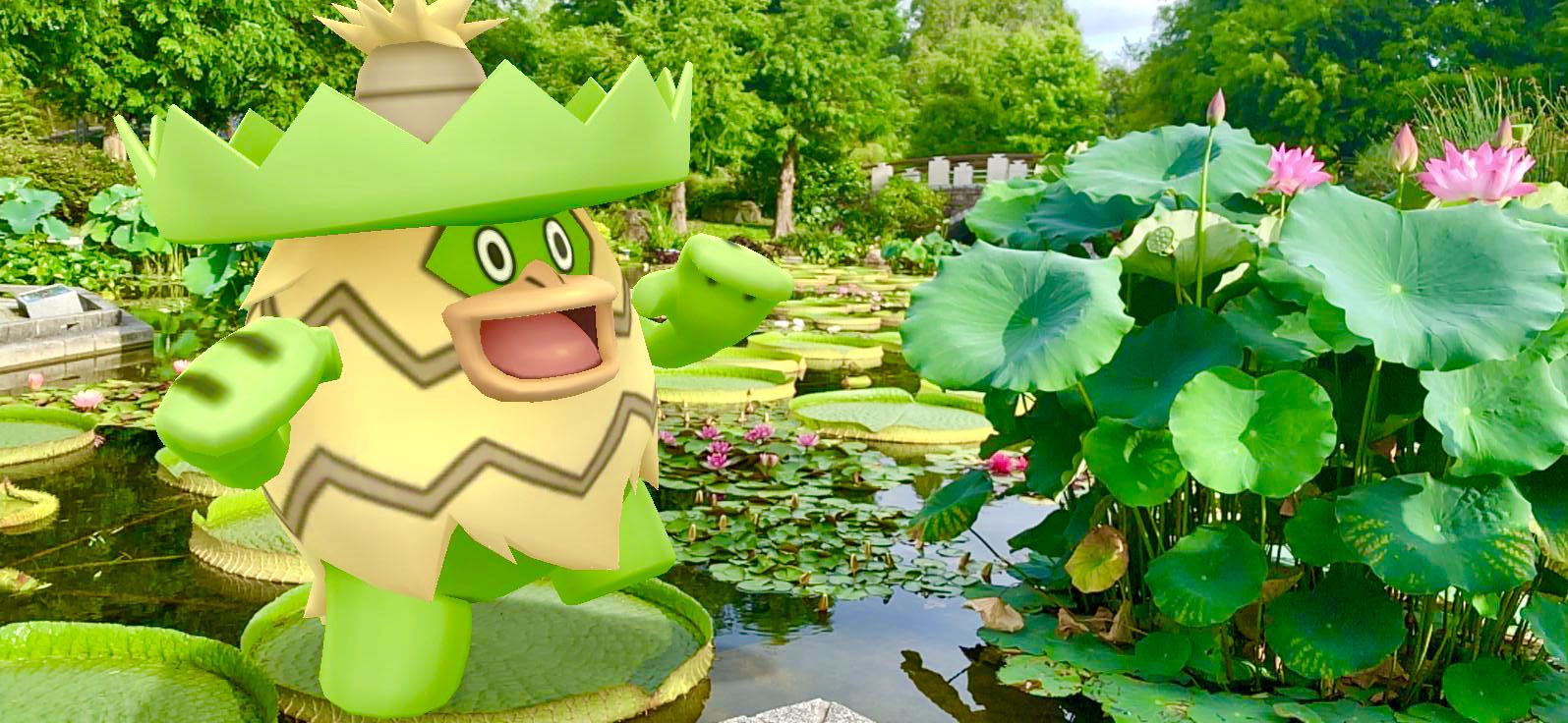 R I O 僕が乗っても踊っても 沈まないんだ っ みずの森では パラグアイオニバスに 子供が乗れるよ T Co Rrzqmekzcz ポケモンgo Pokemongo Gosnapshot 現実に馴染みすぎているポケモン 祝ar勢歓喜のar写真大会 ルンパッパ 滋賀 琵琶湖