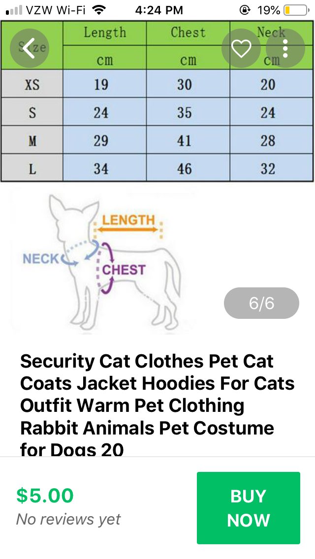 Cat Coat Chart