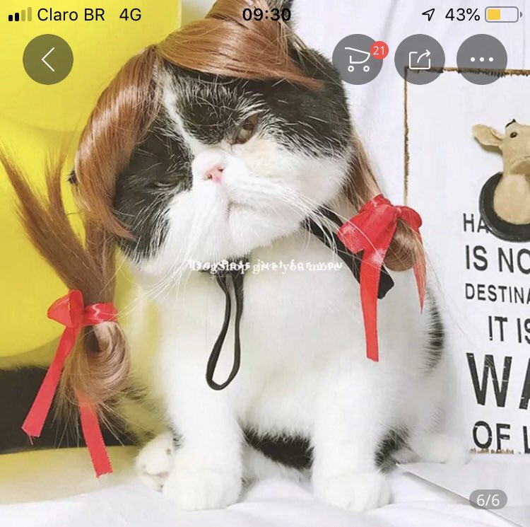 Andreia Ribeiro tweet media