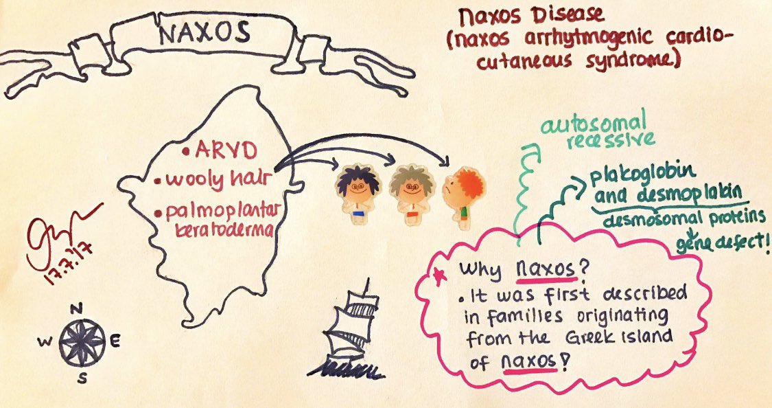 drozgeozden's tweet image. Naxos disease! #arvd #whycmr #firstecho #cardiacimaging #multimodality  #hart