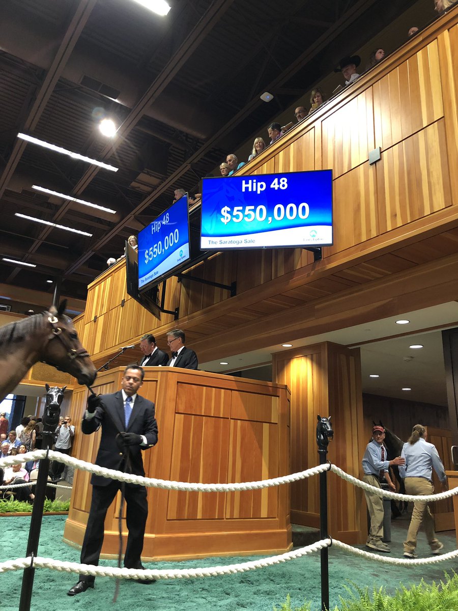 Robert Molloy (@rob_molloy26) on Twitter photo First purchase of The Saratoga Sale <a href="/FasigTiptonCo/">Fasig-Tipton</a> hip 48 for #BachStables a bay filly by #Ghostzapper out of Le Relais #horsesales First purchase of The Saratoga Sale <a href="/FasigTiptonCo/">Fasig-Tipton</a> hip 48 for #BachStables a bay filly by #Ghostzapper out of Le Relais #horsesales