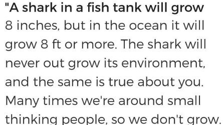 #Mondaymotivation Don't shrink yourselves to fit in. Your dreams and goals matter! #dreambig #entrepreneur #leanstartup #growthmindset
