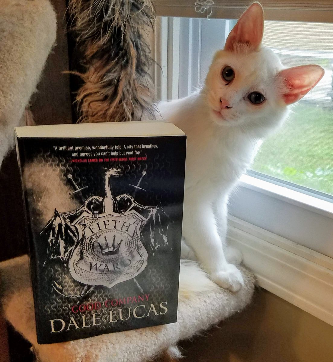UncleT_Bag's tweet photo. Guess who's back? Rem and Torval return in the new #TheFifthWard novel, #GoodCompany by @DaleLucas114. A fun buddy cop romp through a #fantasy landscape. Can't wait to see what they have up their sleeves this time. Comes out August 27! #CatsofTwitter https://t.co/OejUpxdDfs