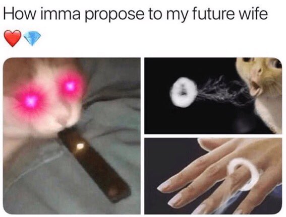 itssxhann's tweet image. how blake is going to propose to mia #TheAlphasNerd